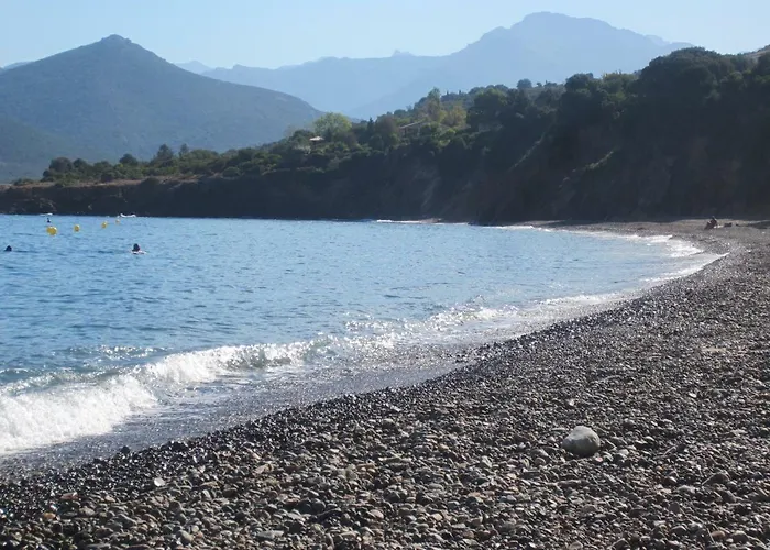 Casa Toga 公寓 加莱里亚