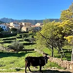 Résidence Casa Toga Galeria (Corsica)