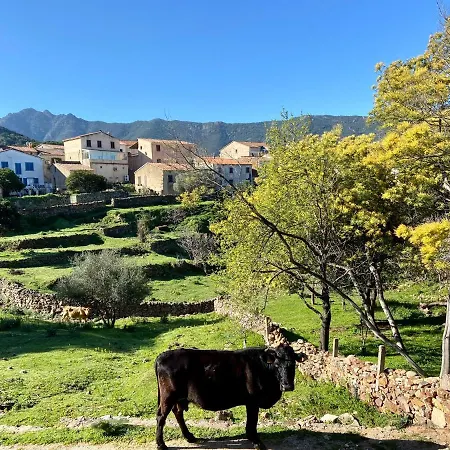 Casa Toga Galeria (Corsica)