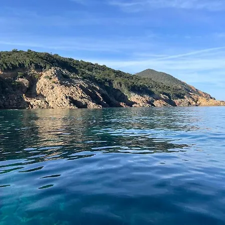 Casa Toga * Galeria (Corsica)