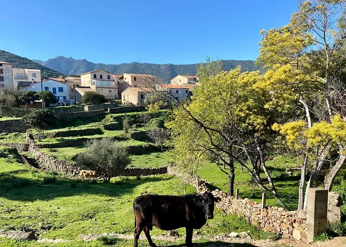 Résidence Casa Toga Galéria