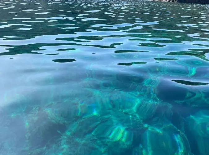 Résidence Casa Toga Appartement